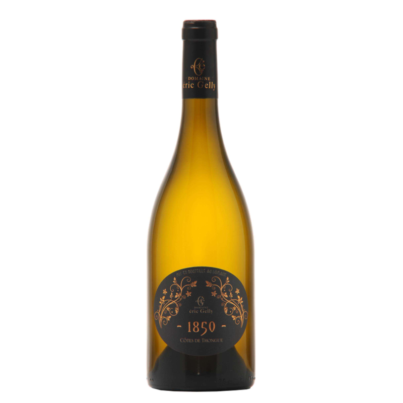 Prosecco Minos Pétillant Italien Frizzante